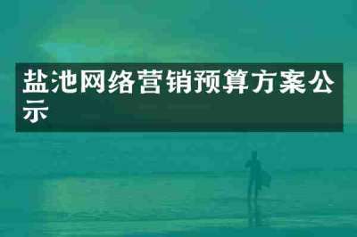 盐池网络营销预算方案公示