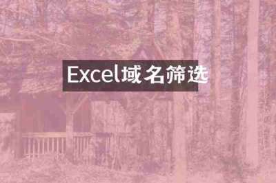 Excel域名筛选