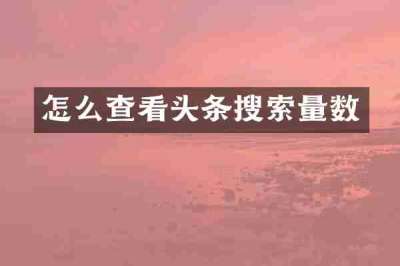 怎么查看头条搜索量数