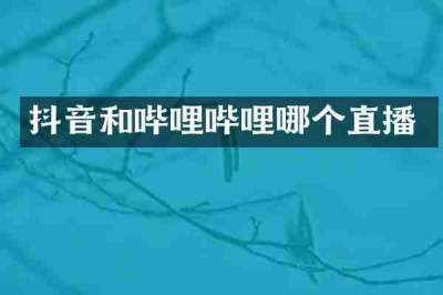 抖音和哔哩哔哩哪个直播