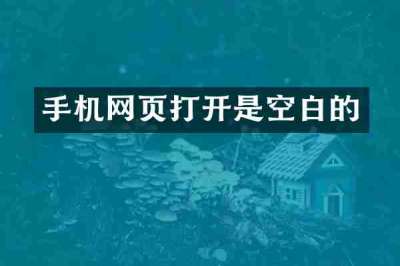 手机网页打开是空白的