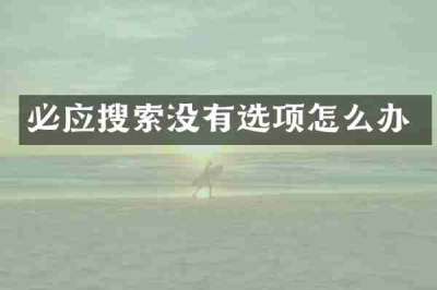 必应搜索没有选项怎么办