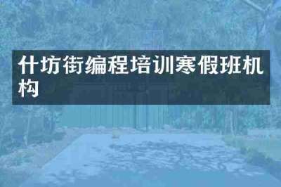 什坊街编程培训寒假班机构