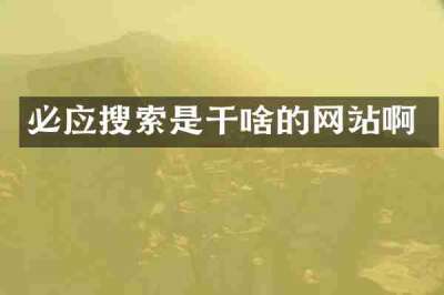 必应搜索是干啥的网站啊