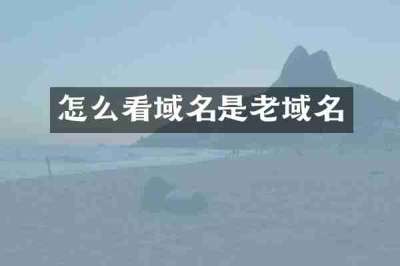 怎么看域名是老域名