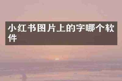 小红书图片上的字哪个软件
