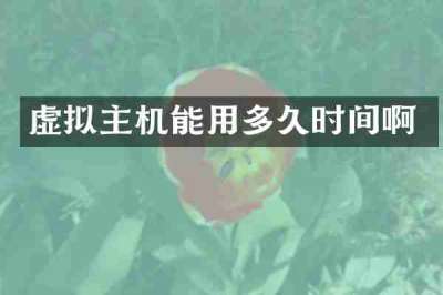 虚拟主机能用多久时间啊