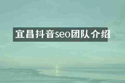 宜昌抖音seo团队介绍