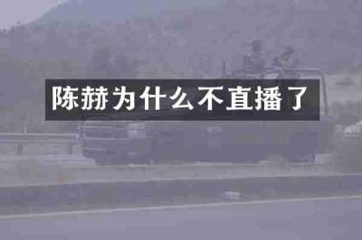 陈赫为什么不直播了