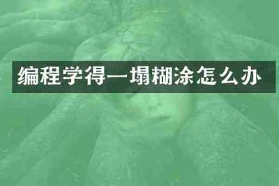 编程学得一塌糊涂怎么办
