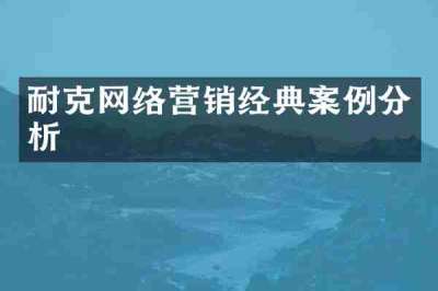 耐克网络营销经典案例分析