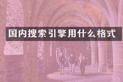 国内搜索引擎用什么格式