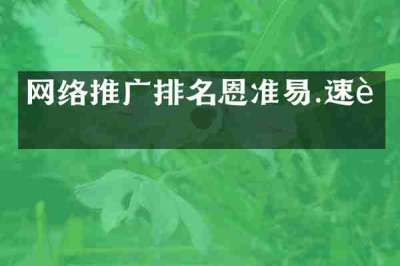 网络推广排名恩准易.速达