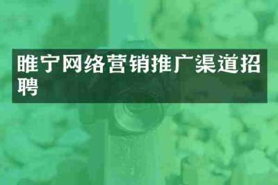 睢宁网络营销推广渠道招聘