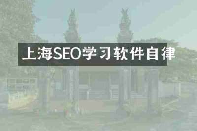 上海SEO学习软件自律