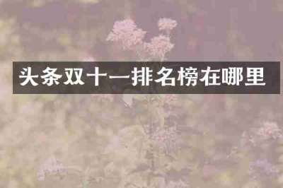 头条双十一排名榜在哪里