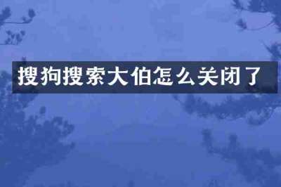 搜狗搜索大伯怎么关闭了