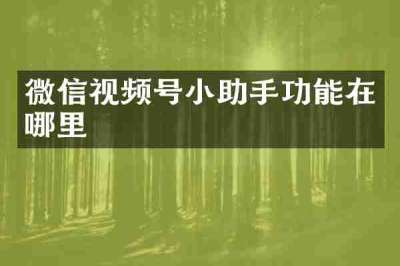 微信视频号小助手功能在哪里