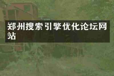 郑州搜索引擎优化论坛网站
