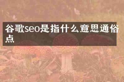 谷歌seo是指什么意思通俗点