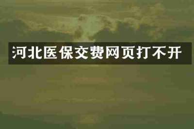 河北医保交费网页打不开