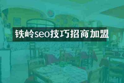 铁岭seo技巧招商加盟