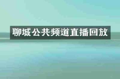 聊城公共频道直播回放
