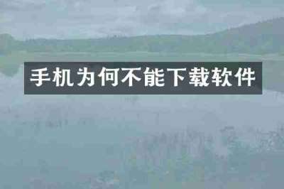 手机为何不能下载软件