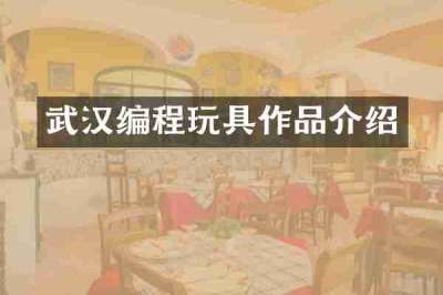 武汉编程玩具作品介绍