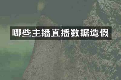 哪些主播直播数据造假