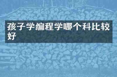 孩子学编程学哪个科比较好