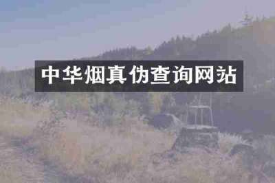 中华烟真伪查询网站