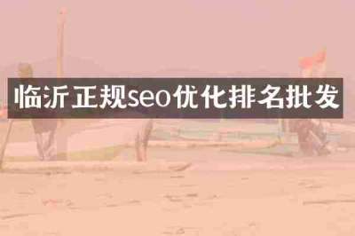 临沂正规seo优化排名批发