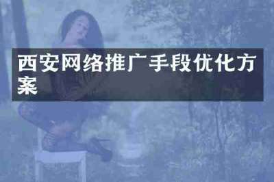 西安网络推广手段优化方案