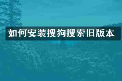 如何安装搜狗搜索旧版本