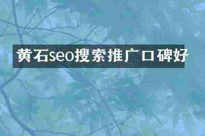 黄石seo搜索推广口碑好