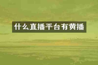 什么直播平台有黄播