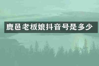 鹿邑老板娘抖音号是多少