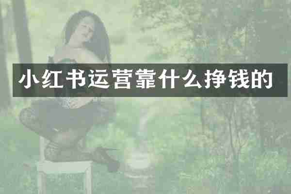 小红书运营靠什么挣钱的