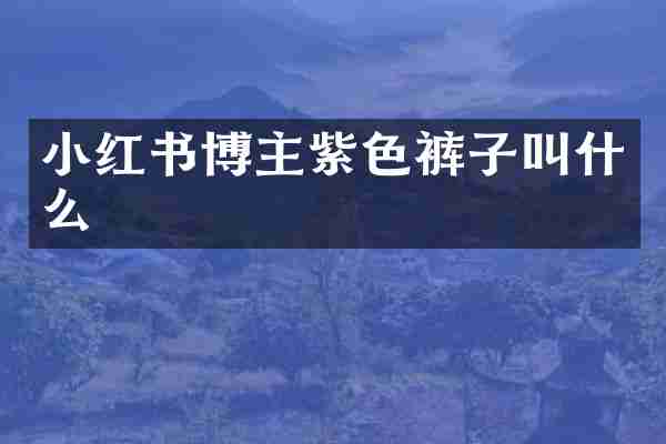 小红书博主紫色裤子叫什么