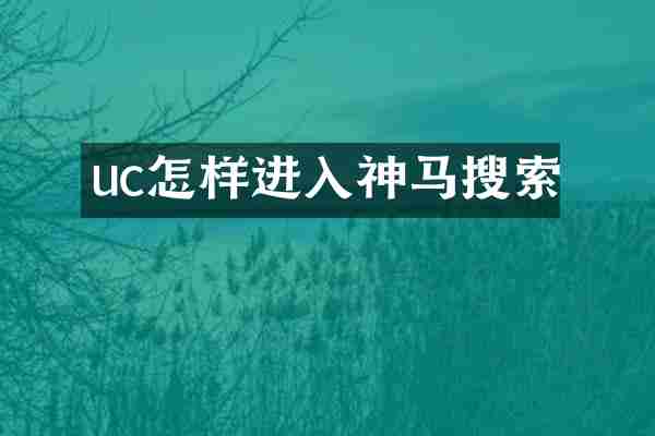 uc怎样进入神马搜索