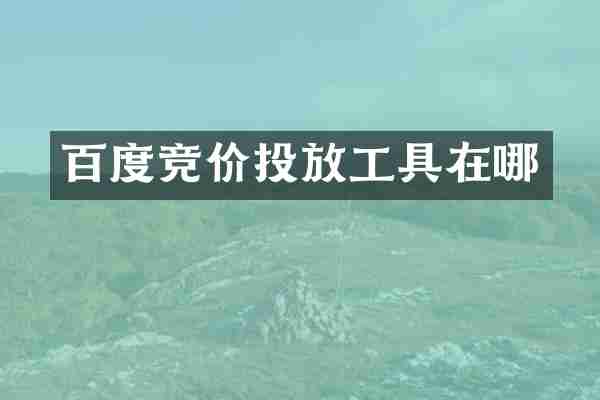 百度竞价投放工具在哪