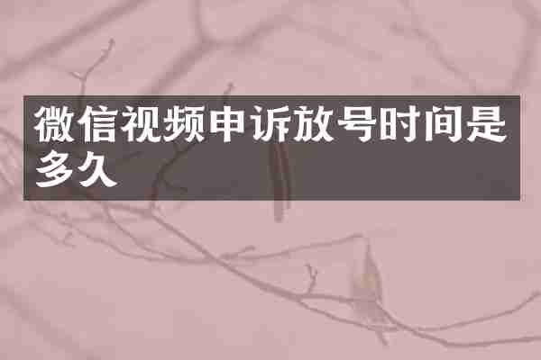微信视频申诉放号时间是多久