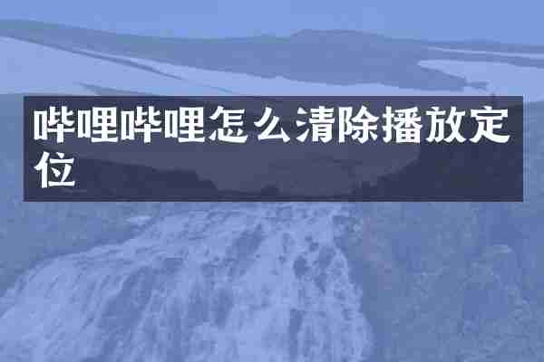 哔哩哔哩怎么清除播放定位