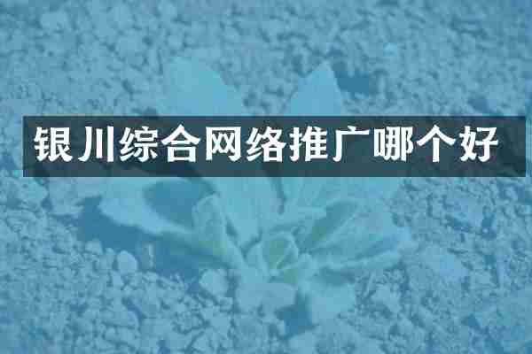 银川综合网络推广哪个好