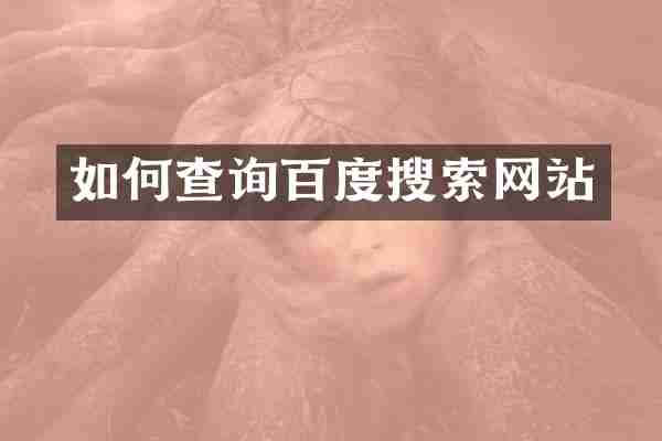 如何查询百度搜索网站