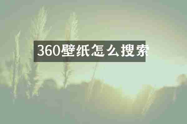 360壁纸怎么搜索