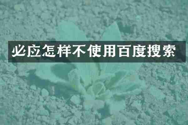 必应怎样不使用百度搜索