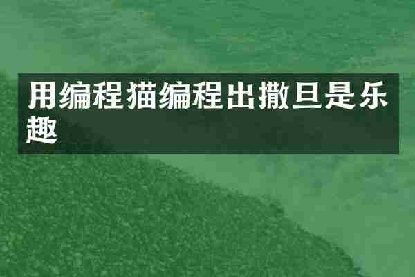 用编程猫编程出撒旦是乐趣