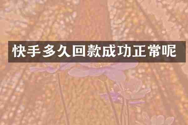 快手多久回款成功正常呢